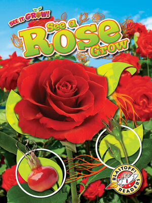 cover image of See a Rose Grow